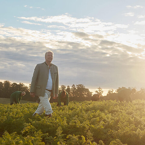 A man in a light-coloured jacket is walking through a field of green plants; in the background, several people can be seen bending down.