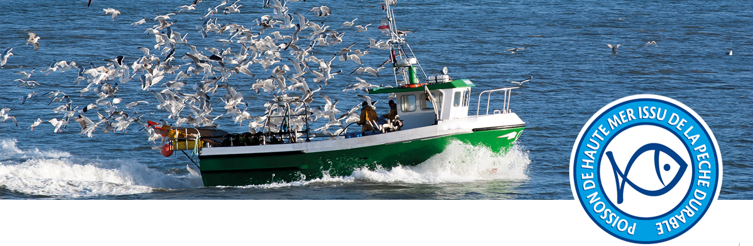 Un bateau sur l'eau, entouré d'oiseaux, avec un logo dans le coin inférieur droit.