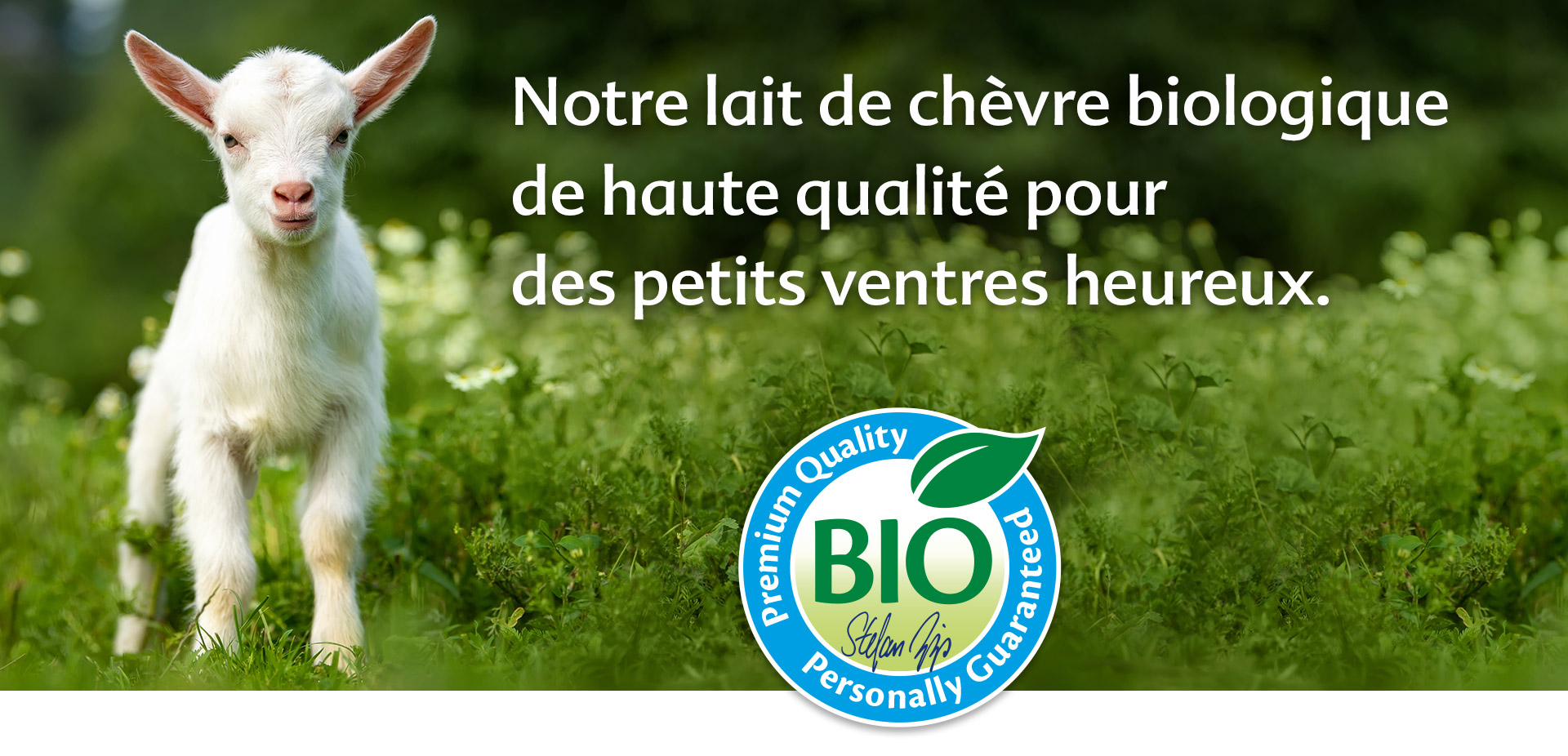 Une chèvre blanche se tient dans un champ vert avec, au premier plan, un sceau de bioqualité bleu et blanc.