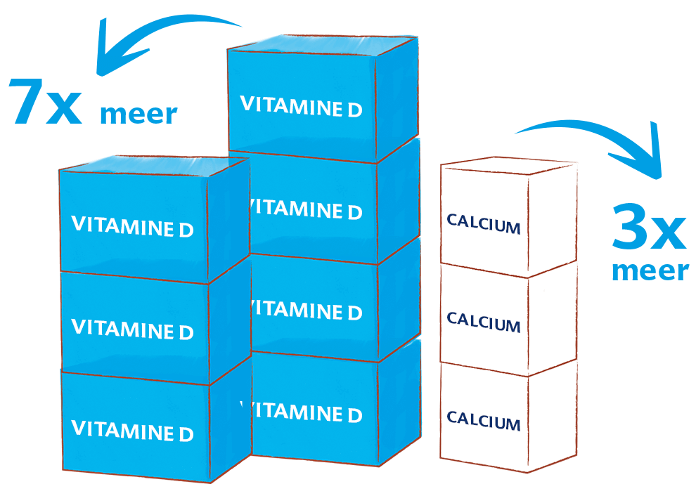 Drie stapels blokken, waarvan de meest linkse stapel is gelabeld met "Vitamine D" en de meest rechtse stapel is gelabeld met "Calcium", waarbij de middelste stapel twee keer zo hoog is als de Calcium stapel.