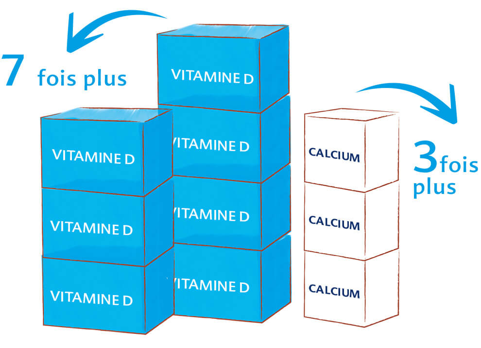 Une pile de sept cubes bleus étiquetés "VITAMINE D" et une pile de trois cubes blancs étiquetés "CALCIUM", avec des flèches pointant vers les piles respectives et les phrases françaises "7 fois plus" et "3 fois plus" indiquant que la pile "VITAMINE D" est sept fois plus grande et que la pile "CALCIUM" est trois fois plus grande.