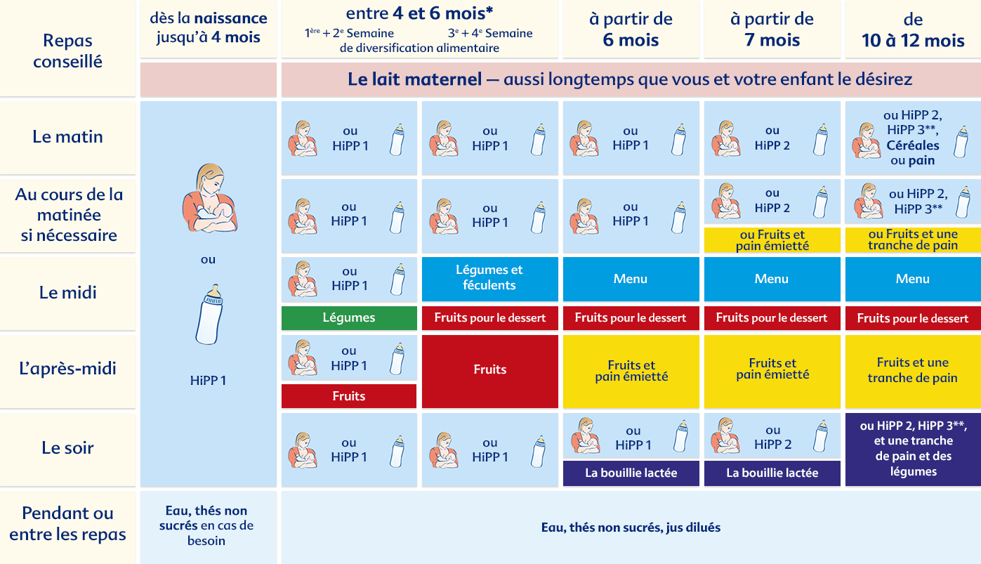 Un guide structuré sur le calendrier alimentaire recommandé pour les bébés âgés de 4 mois à 12 mois, précisant la fréquence de l'allaitement et l'introduction de l'alimentation complémentaire.