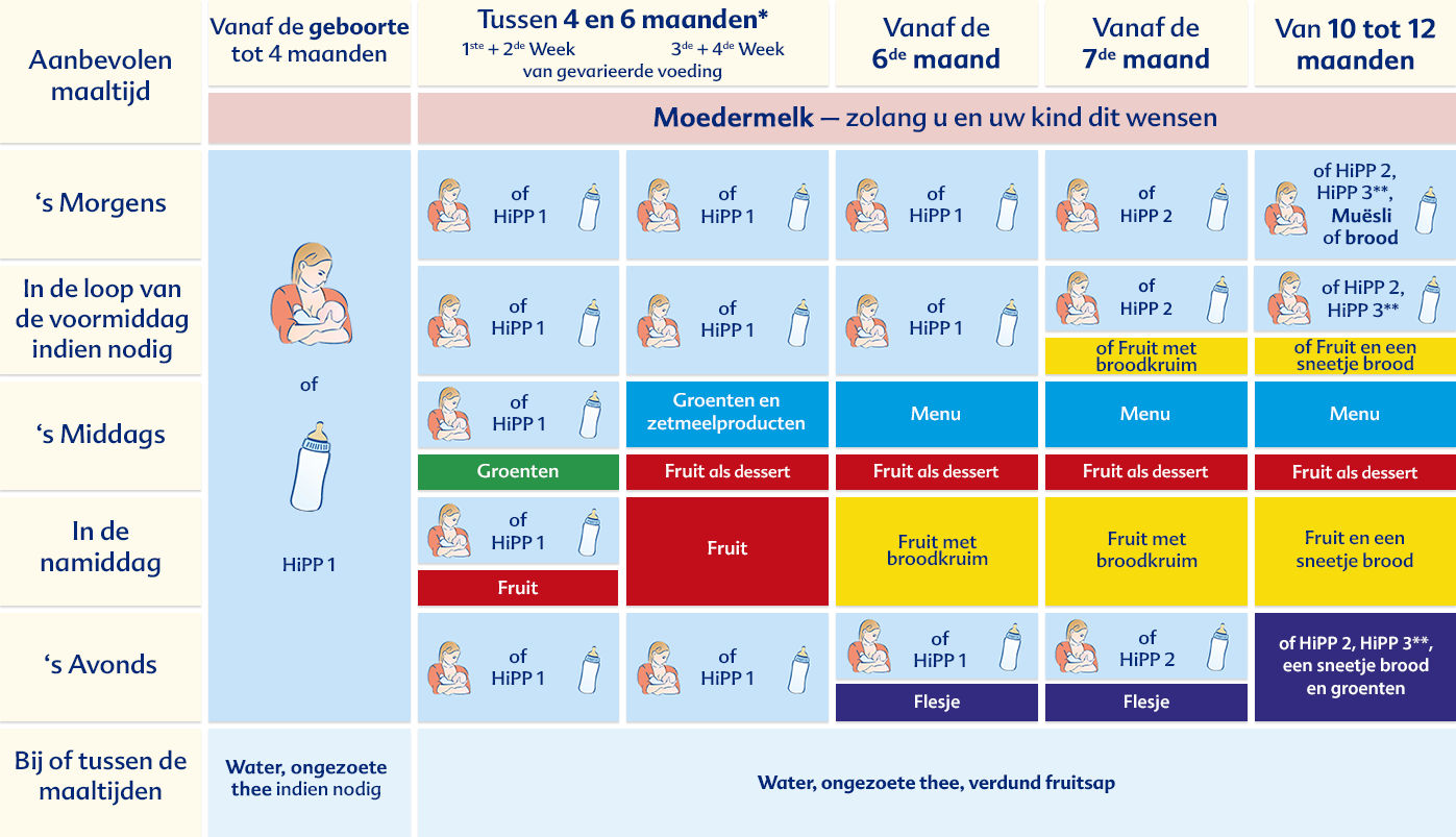 Een gestructureerd schema met het voedingsschema voor baby's, ingedeeld op leeftijd en soort voeding.