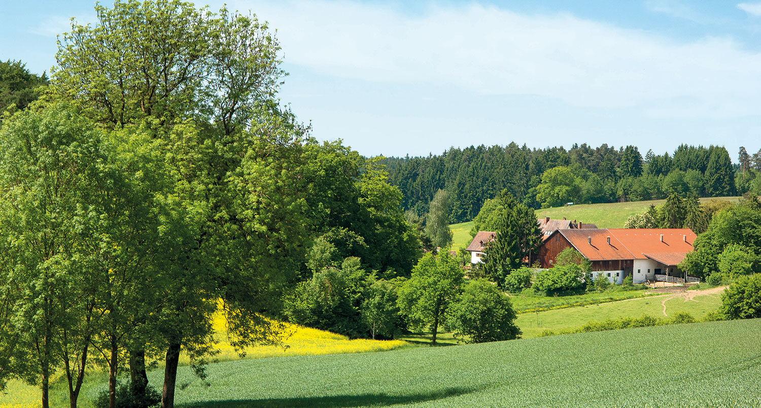 Une scène rurale sereine avec une maison, des champs verts et des arbres.