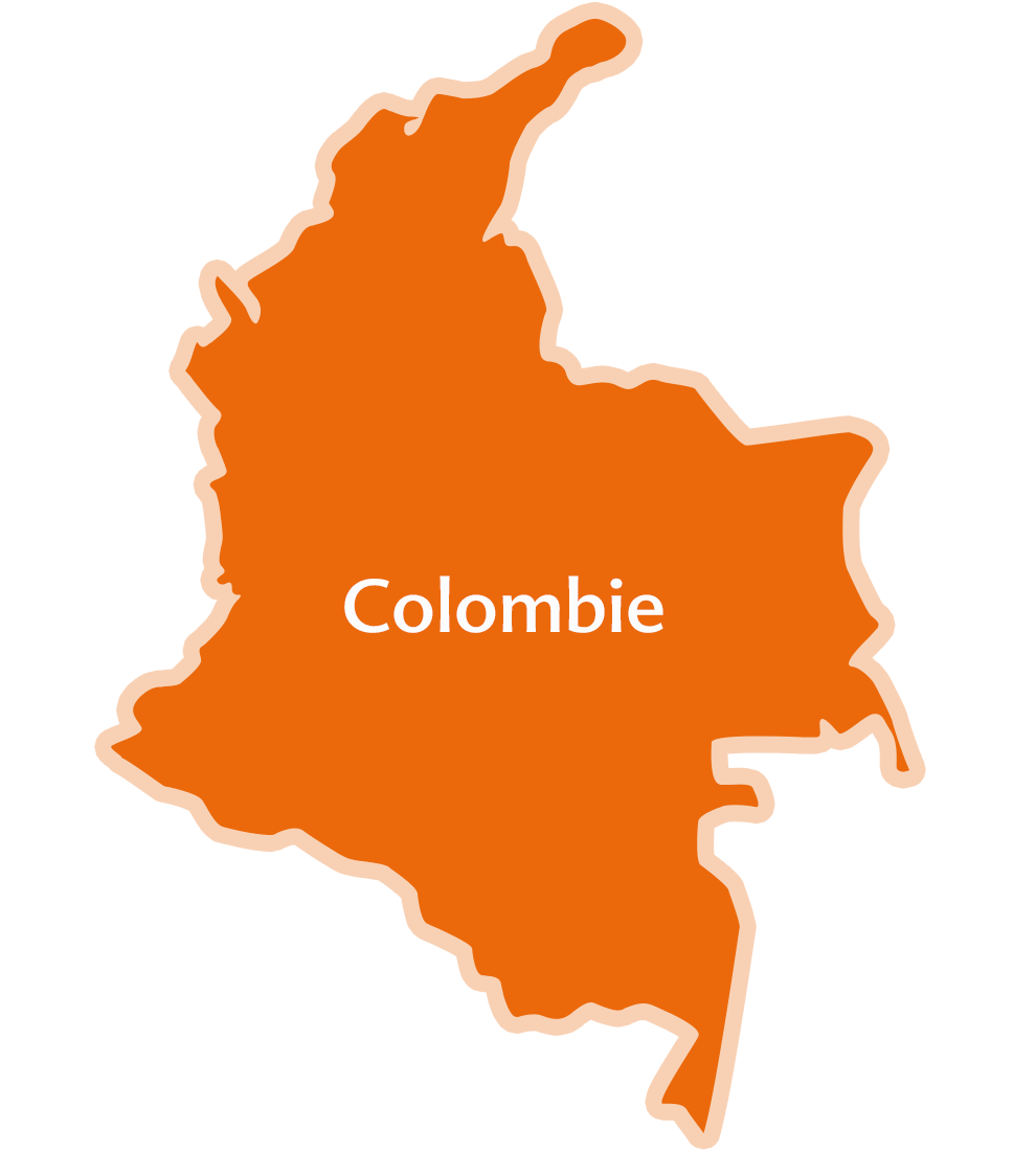Silhouette de la forme géographique de la Colombie avec le nom du pays au milieu.