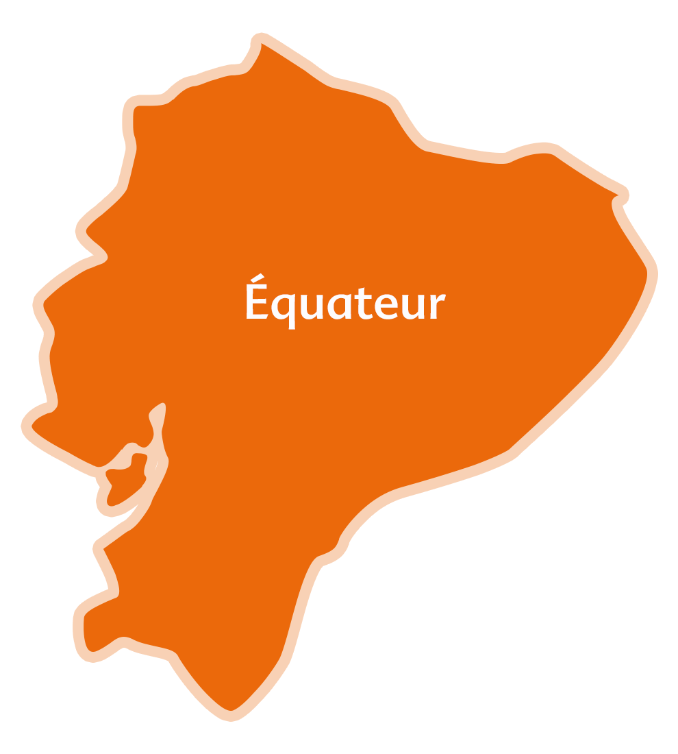 Une silhouette du continent africain, remplie d'une couleur orange vif, avec le mot "Equateur" écrit en blanc au centre.