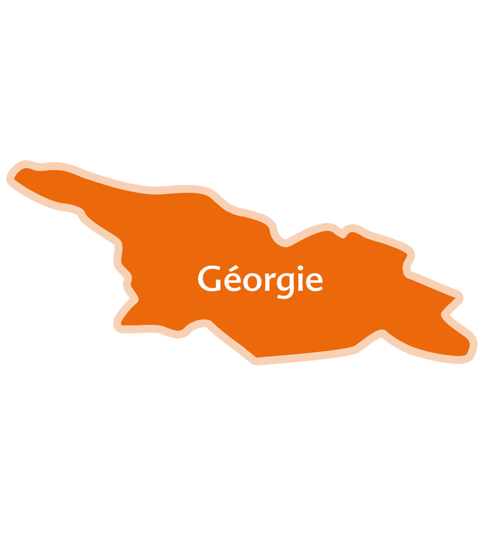 Une carte de la Géorgie avec le nom du pays au milieu.