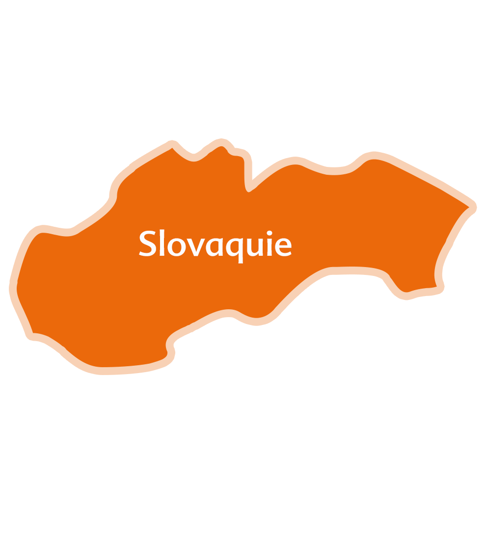 Une carte de la Slovaquie sur laquelle est inscrit le nom du pays.