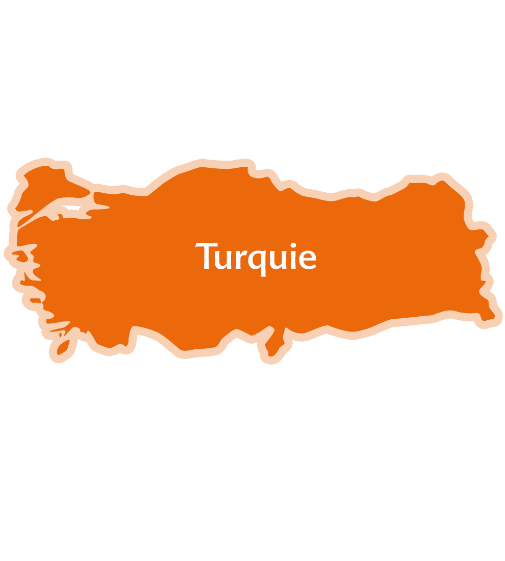 Une carte simplifiée de la Turquie avec la ville de Turquie surlignée en bleu.