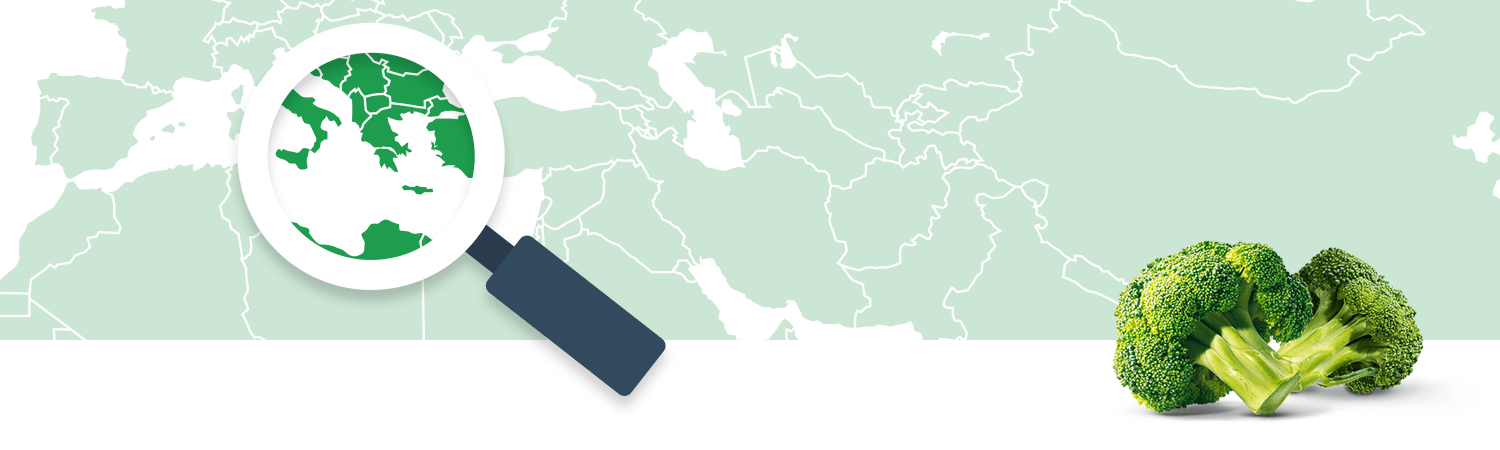 A magnifying glass focuses on a region of a world map, while a broccoli stands in the foreground.