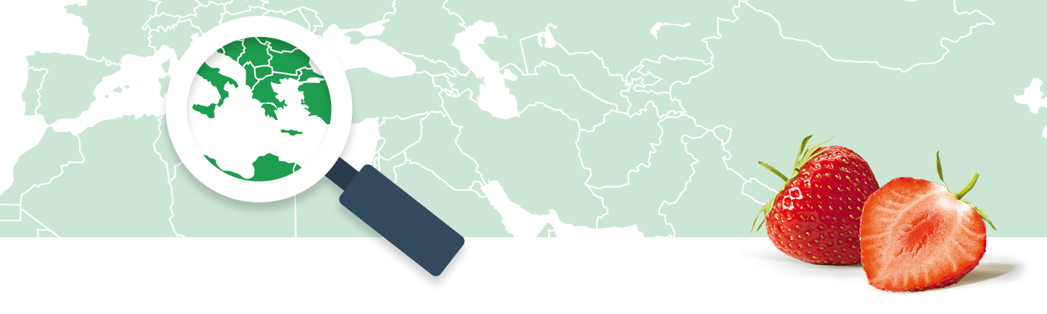 A magnifying glass focuses on a region of a world map, while a sliced strawberry rests on the bottom right.