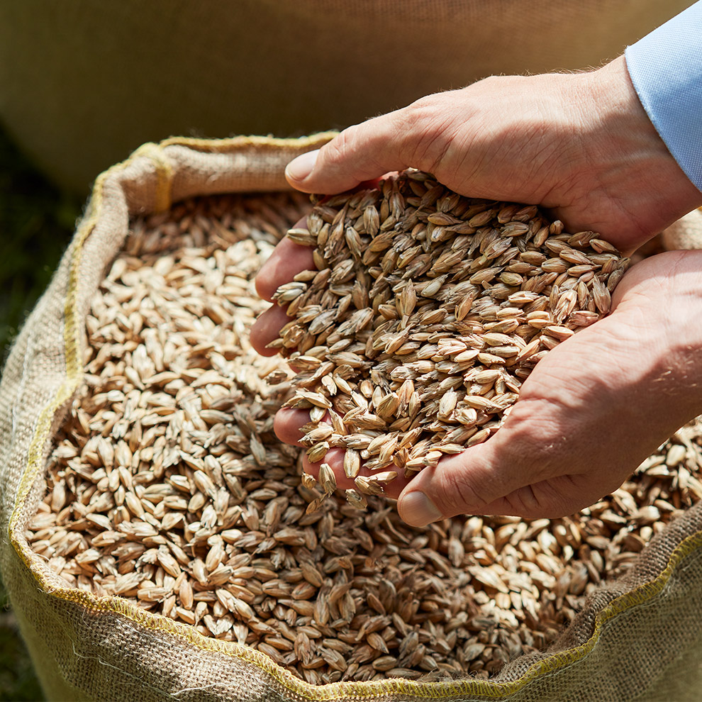 A hand holds grains from a burlap sack.